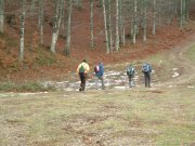 Clicca qui per vedere l'immagine in dettaglio