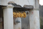 Clicca qui per vedere l'immagine in dettaglio