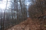 Clicca qui per vedere l'immagine in dettaglio