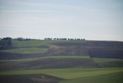 Clicca qui per vedere l'immagine in dettaglio