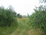 Clicca qui per vedere l'immagine in dettaglio