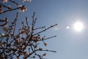 Clicca qui per vedere l'immagine in dettaglio