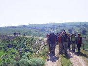 Clicca qui per vedere l'immagine in dettaglio