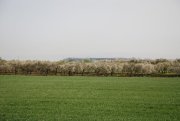 Clicca qui per vedere l'immagine in dettaglio