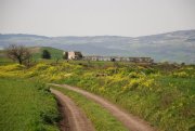 Clicca qui per vedere l'immagine in dettaglio