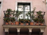 Clicca qui per vedere l'immagine in dettaglio