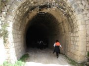 Clicca qui per vedere l'immagine in dettaglio