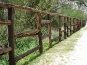 Clicca qui per vedere l'immagine in dettaglio