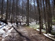 Clicca qui per vedere l'immagine in dettaglio