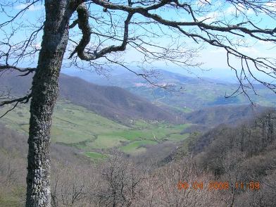 Clicca qui per vedere l'immagine in dettaglio