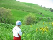 Clicca qui per vedere l'immagine in dettaglio
