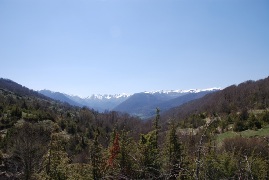 Clicca qui per vedere l'immagine in dettaglio