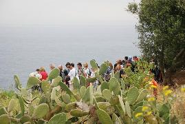 Clicca qui per vedere l'immagine in dettaglio