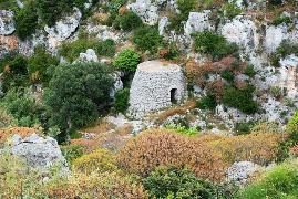 Clicca qui per vedere l'immagine in dettaglio