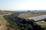 Clicca qui per vedere l'immagine in dettaglio