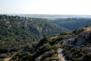 Clicca qui per vedere l'immagine in dettaglio