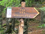 Clicca qui per vedere l'immagine in dettaglio