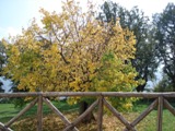 Clicca qui per vedere l'immagine in dettaglio