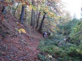 Clicca qui per vedere l'immagine in dettaglio
