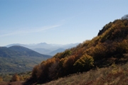 Clicca qui per vedere l'immagine in dettaglio
