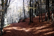 Clicca qui per vedere l'immagine in dettaglio