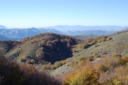 Clicca qui per vedere l'immagine in dettaglio