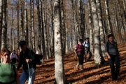Clicca qui per vedere l'immagine in dettaglio
