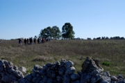 Clicca qui per vedere l'immagine in dettaglio