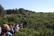 Clicca qui per vedere l'immagine in dettaglio