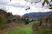 Clicca qui per vedere l'immagine in dettaglio