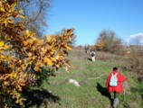 Clicca qui per vedere l'immagine in dettaglio