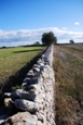 Clicca qui per vedere l'immagine in dettaglio