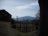 Clicca qui per vedere l'immagine in dettaglio