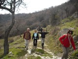 Clicca qui per vedere l'immagine in dettaglio